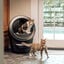 Litter-Robot Caixa de Areia Autom&aacute;tica Preta para gatos, , large Indicador imagem n&uacute;mero 5