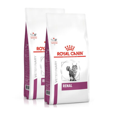 Royal Canin Feline Veterinary Renal ração - 2x4kg Pack Poupança