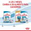 Royal Canin Mini Starter MothereBaby ração para cães, , large Indicador imagem número 11