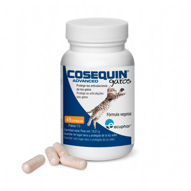Ecuphar Cosequin Advanced Condroprotetor Articular para gatos