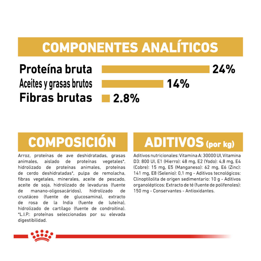 12 kg Royal Canin Adult Bulldog ra&ccedil;&atilde;o para c&atilde;es de ra&ccedil;a, , large Imagem n&uacute;mero 7