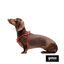 Gotoo Peitoral vermelho estampado caxemira para cães, , large Indicador imagem número 3