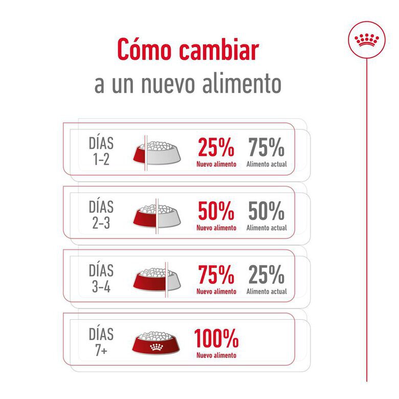 1.5 kg Royal Canin X-Small Ageing 12+ Adult ração para cães,  Imagem número 11 1.5 kg Royal Canin X-Small Ageing 12+ Adult ração para cães, , large Imagem número 11
