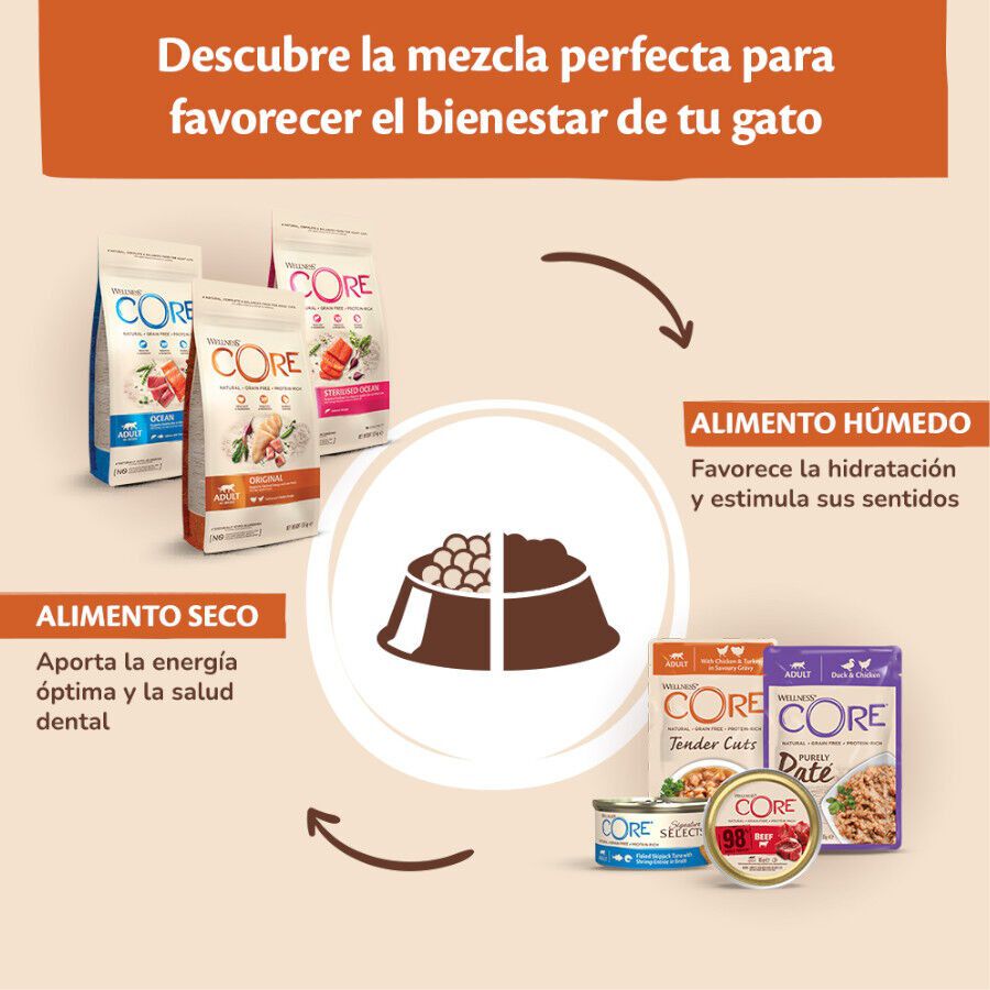  85 g Wellness Core Tender Cuts frango e salm&atilde;o saquetas para gatos, , large Imagem n&uacute;mero 5