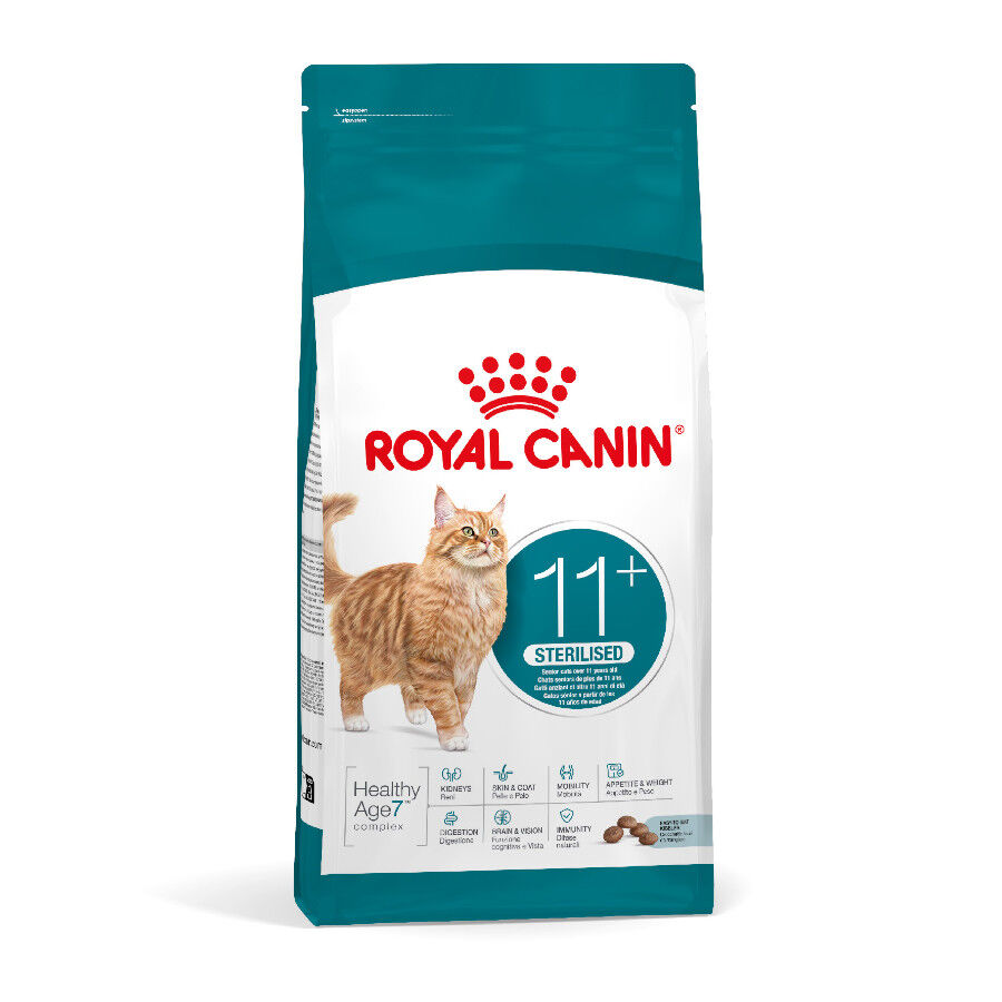 2 kg Royal Canin Ageing 11+ Sterilised ra&ccedil;&atilde;o para gatos, , large Imagem n&uacute;mero 1