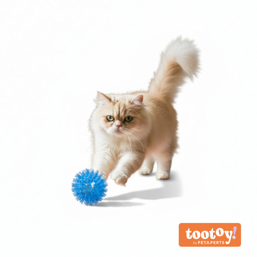 Tootoy! Chase Play Flash Ball Bola para gatos, , large Imagem n&uacute;mero 9