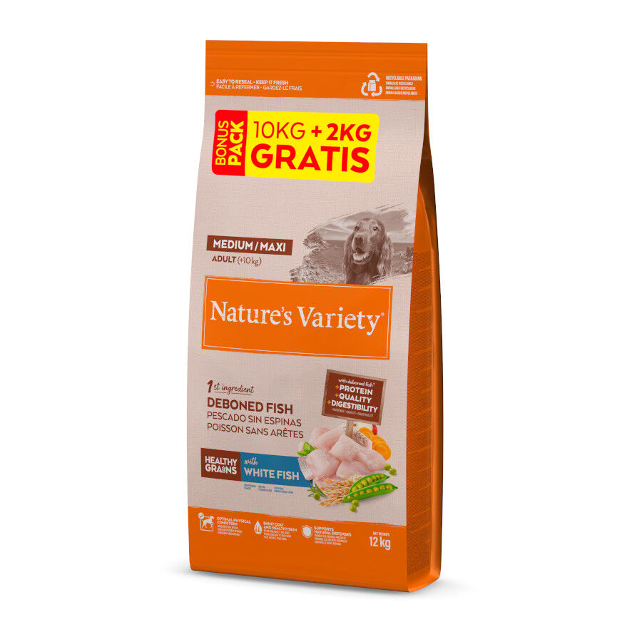 12 kg (10 + 2 kg gr&aacute;tis!) Nature's Variety Healthy Grains Adult Medium Maxi Peixe Branco ra&ccedil;&atilde;o para c&atilde;es, , large Imagem n&uacute;mero 1