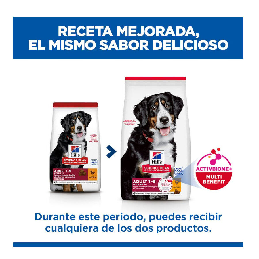 14 kg Hill's Science Plan Large Adult Frango ra&ccedil;&atilde;o para c&atilde;es, , large Imagem n&uacute;mero 3