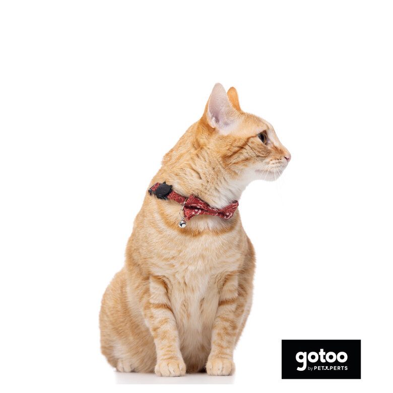 Gotoo Coleira com guizo vermelha para gatos,  Imagem número 3 Gotoo Coleira com guizo vermelha para gatos, , large Imagem número 3