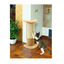 TK-Pet Napo Arranhador de parede bege para gatos, , large Indicador imagem número 3