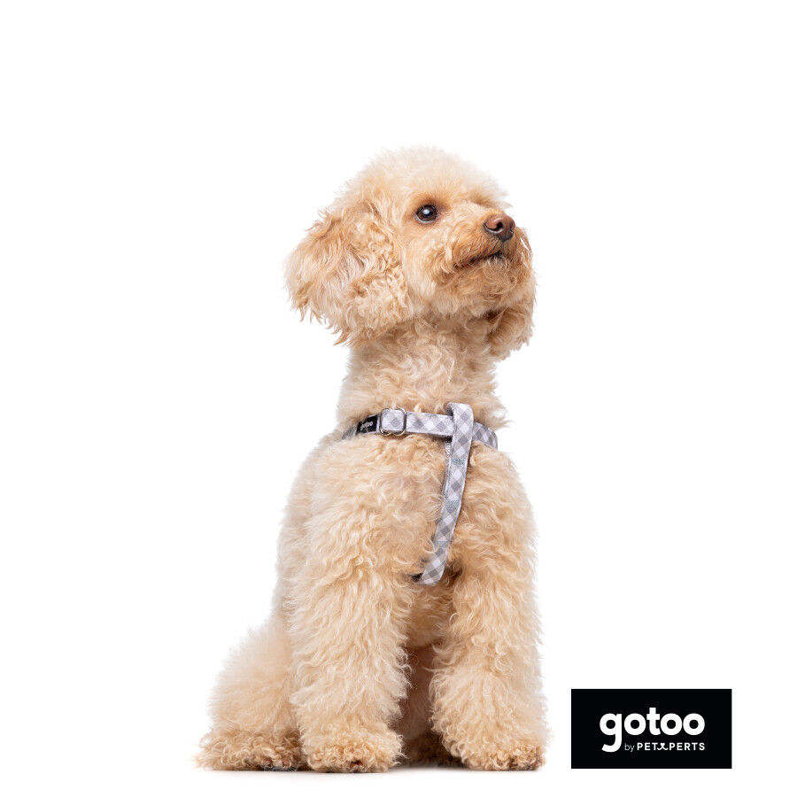 Gotoo Peitoral estampado xadrez vichy cinza para c&atilde;es, , large Imagem n&uacute;mero 4