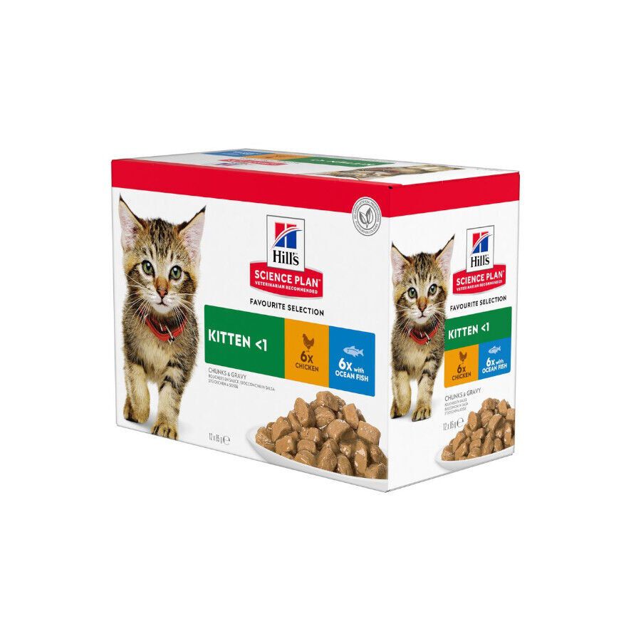 12 saquetas x 85 g Hill's Kittenn Science Plan Frango e Peixe saqueta para gatos - Multipack  12, , large Imagem n&uacute;mero 1