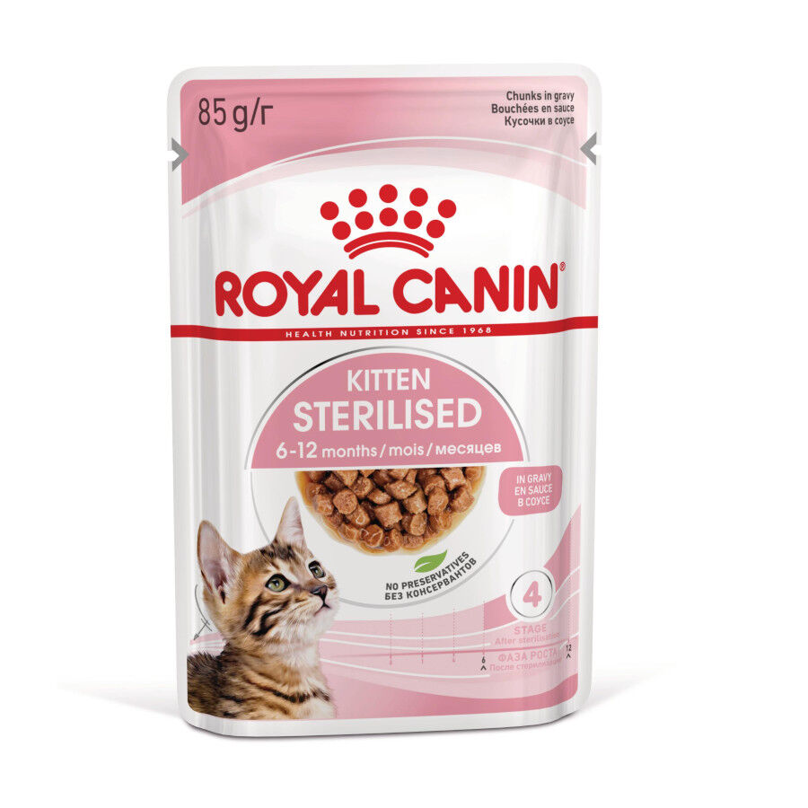 12 saquetas x 85 g Royal Canin Kitten Sterilised alimento h&uacute;mido em molho saquetas para gatos Pack poupan&ccedil;a!, , large Imagem n&uacute;mero 1