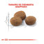 3.5 kg Royal Canin Adult 7+ Regular Sterilised ração para gatos, , large Indicador imagem número 4