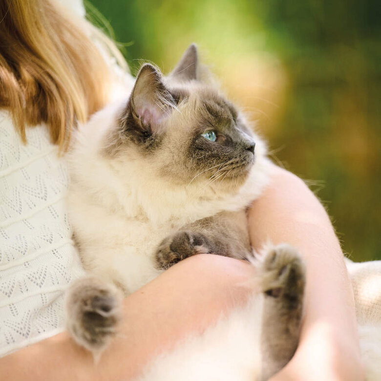 Beaphar Snacks Anti-Stress para gatos, , large image number null