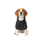 Gotoo Casaco Imperme&aacute;vel Refletor Preto para c&atilde;es, , large Indicador imagem n&uacute;mero 7