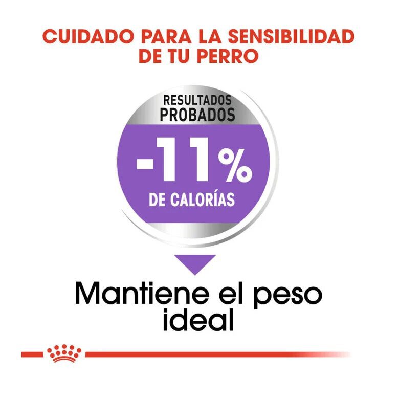 1.5 kg Royal Canin X-Small Sterilised ração para cães,  Imagem número 6 1.5 kg Royal Canin X-Small Sterilised ração para cães, , large Imagem número 6