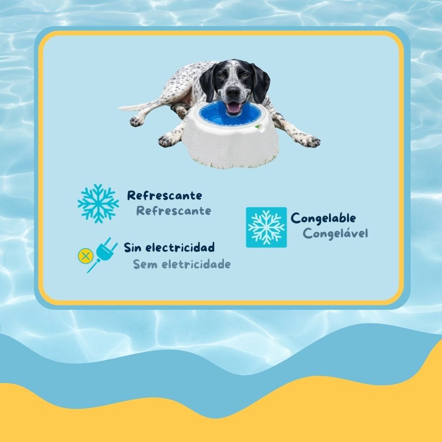 Summer Vibes Cool Bowl Small Comedouro para c&atilde;es, , large Imagem n&uacute;mero 3