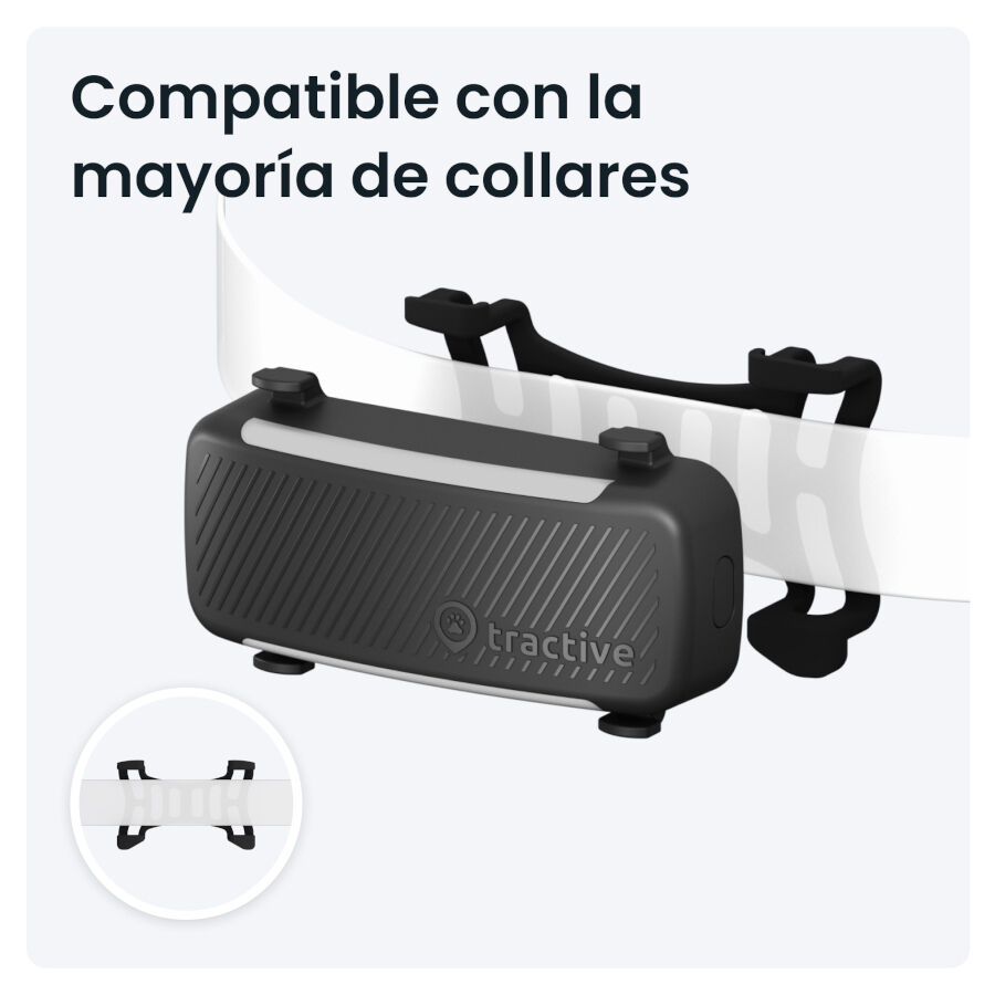 Trative GPS Dog 6 Rastreador de c&atilde;es preto, , large Imagem n&uacute;mero 3