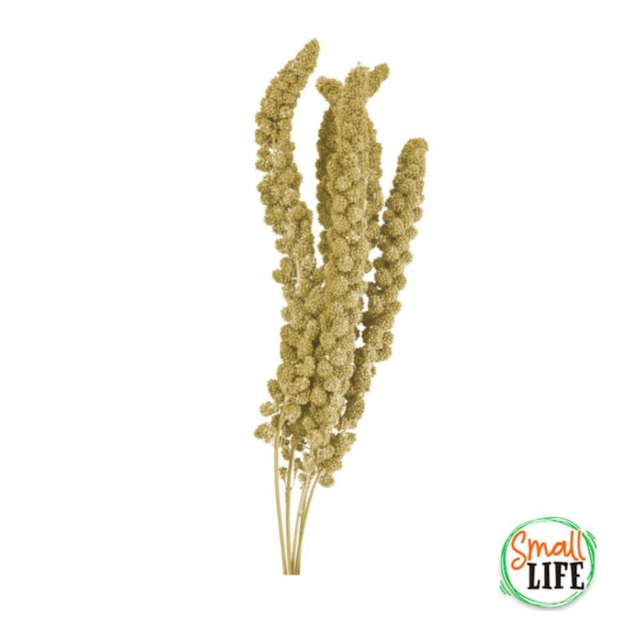 250 g Small Life Panizo amarelo para p&aacute;ssaros, , large Imagem n&uacute;mero 2