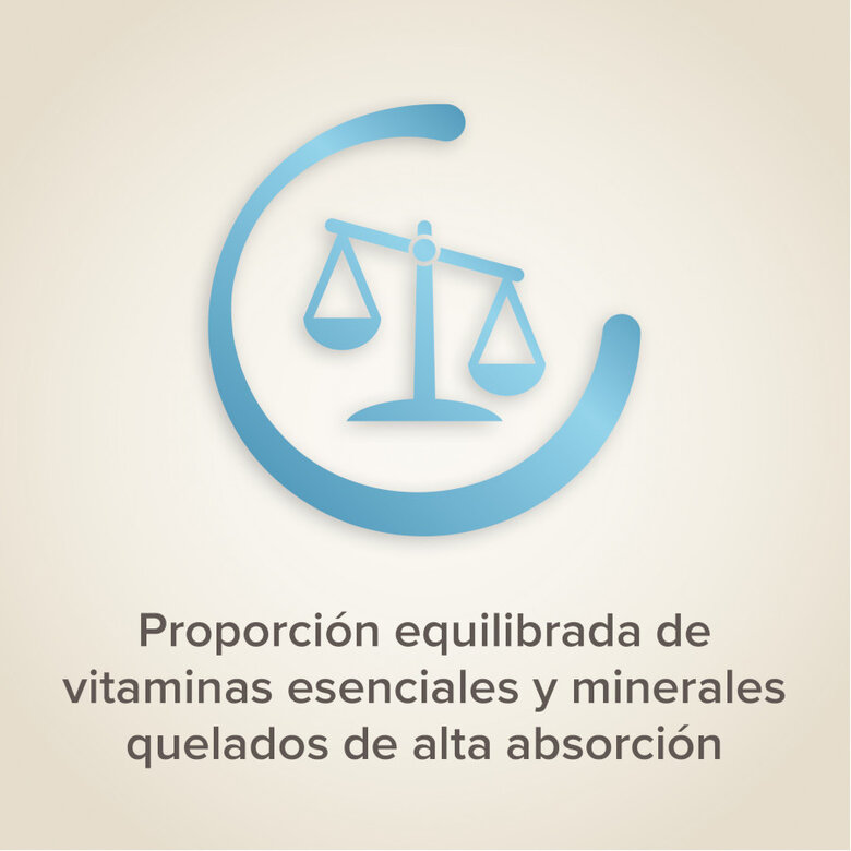 Beaphar Universal Food pasta para pássaros,  Imagem número 5 Beaphar Universal Food pasta para pássaros, , large Imagem número 5