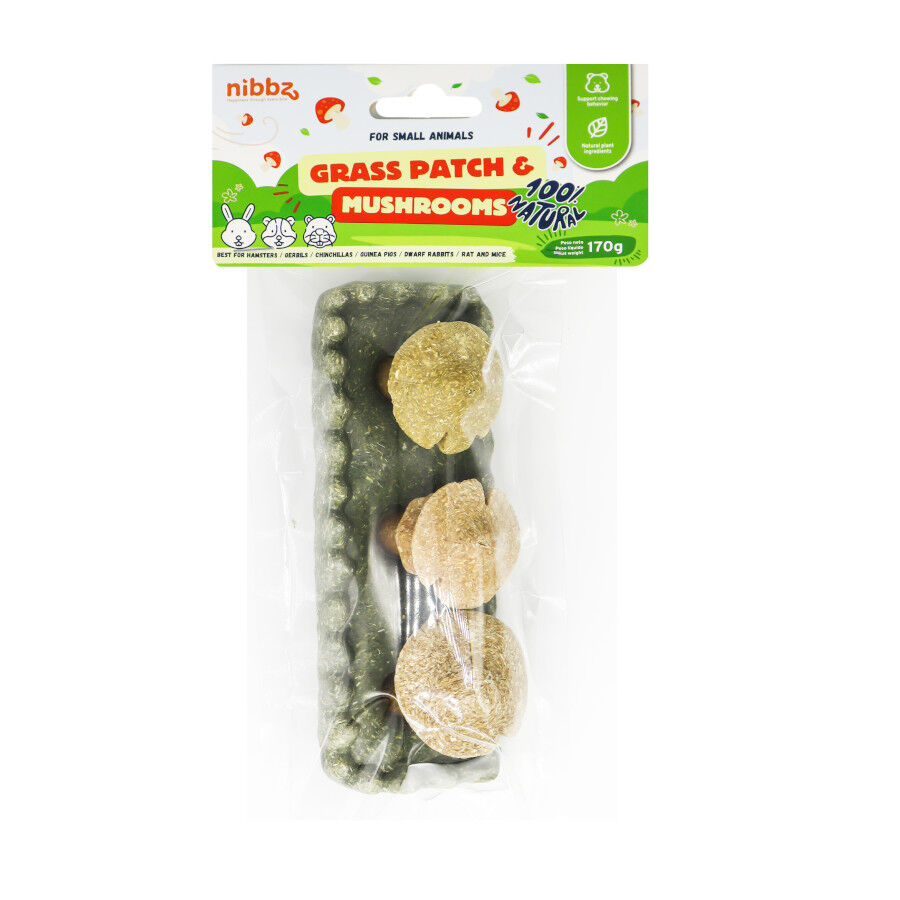 Nibbz Brinquedo Jardim e cogumelos para roer para roedores, , large Imagem n&uacute;mero 2