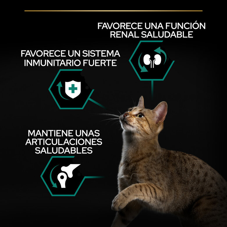 10 kg Pro Plan Adult Renal Plus Frango ração para gatos,  Imagem número 3 10 kg Pro Plan Adult Renal Plus Frango ração para gatos, , large Imagem número 3