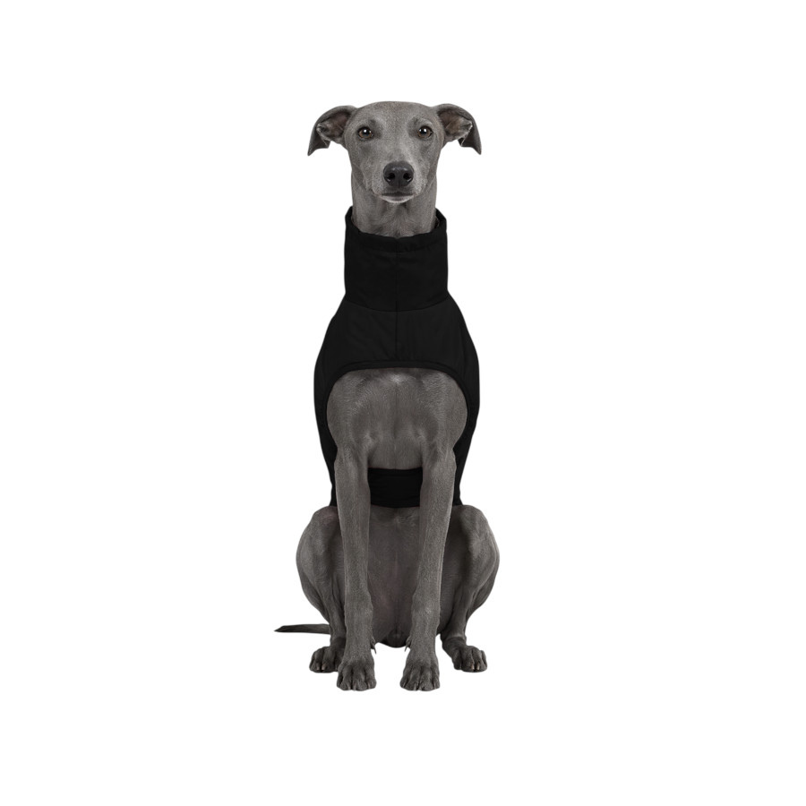 Gotoo Casaco Imperme&aacute;vel Preto para galgos, , large Imagem n&uacute;mero 7