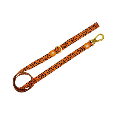 Dukier Cheetah trela para cães