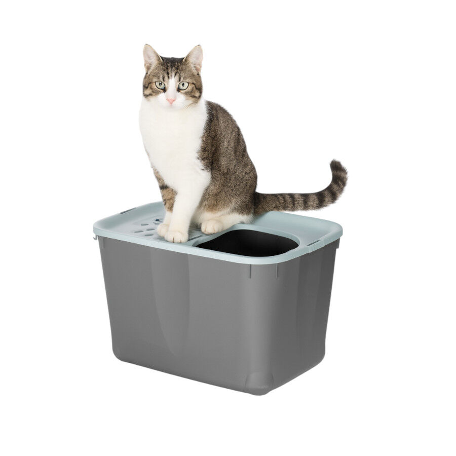 Nice Care Eco Caixa de areia Micia azul para gatos, , large Imagem n&uacute;mero 1