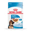140 g Royal Canin Maxi Puppy Alimento húmido para cães, , large Indicador imagem número 1