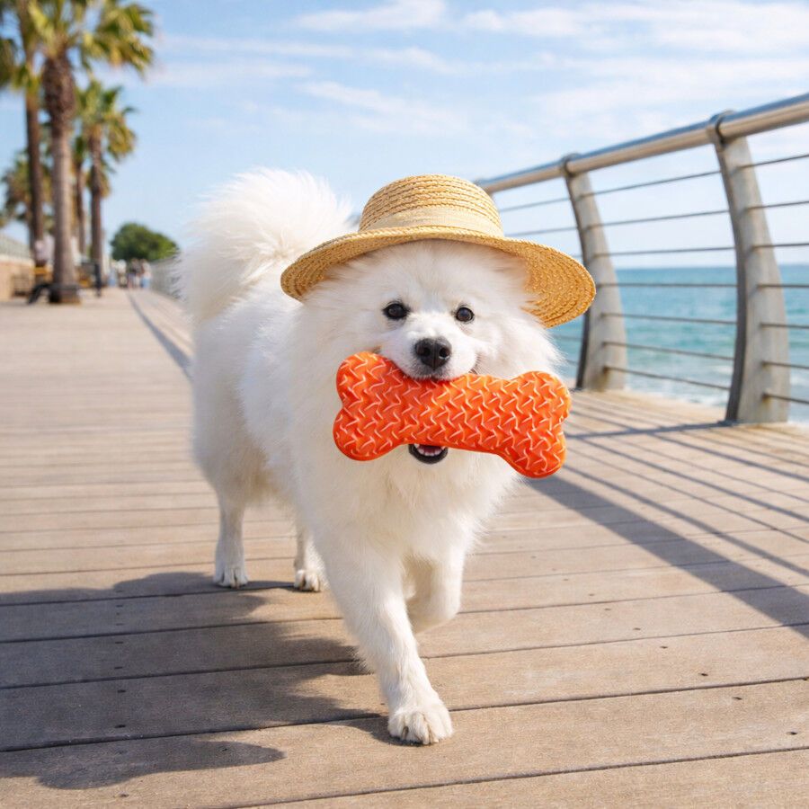 Summer Vibes Cooling Bone Orange Mordedor para c&atilde;es, , large Imagem n&uacute;mero 1