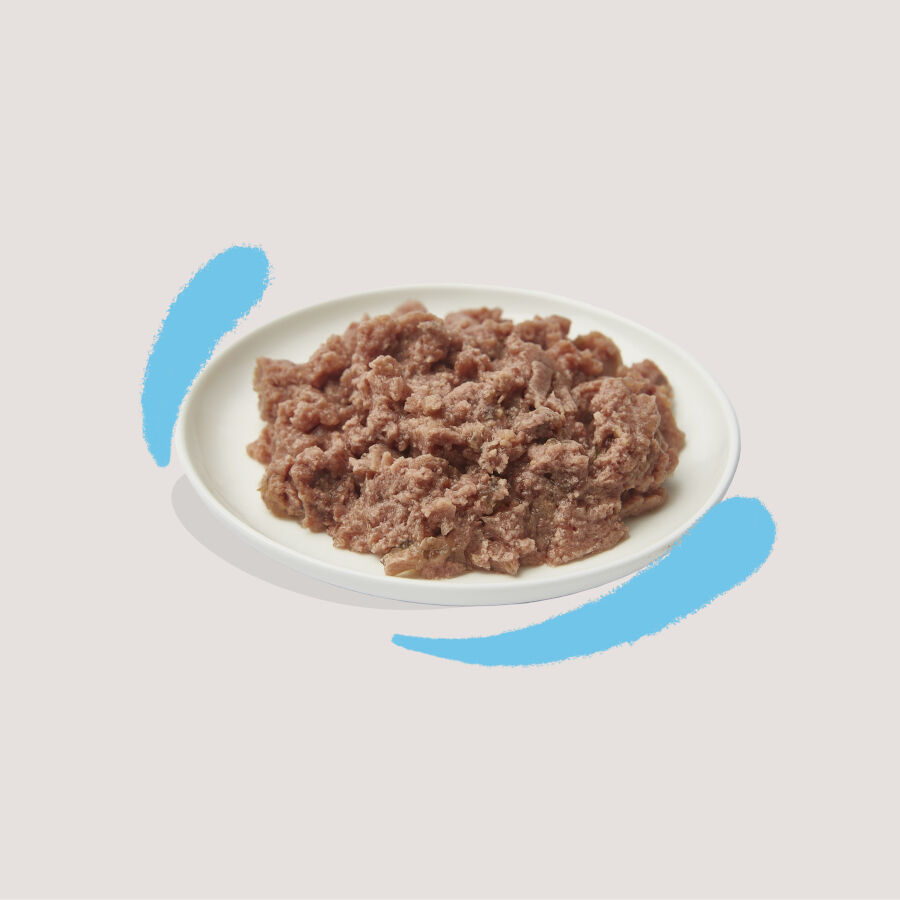 85 g Edgard y Cooper Kitten Bacalhau e Frango em Pat&ecirc; terrina, , large Imagem n&uacute;mero 3