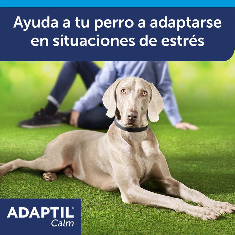 Adaptil Calm Coleira Relaxante para cães,  Imagem número 2 Adaptil Calm Coleira Relaxante para cães, , large Imagem número 2