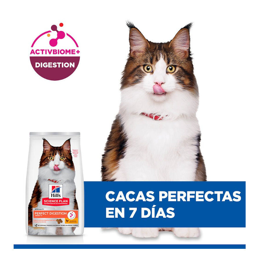 3 kg Hill's Adult Science Plan Perfect Digestion Frango ra&ccedil;&atilde;o para gatos, , large Imagem n&uacute;mero 4