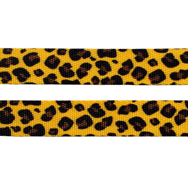 Zeedog Honey Coleira Multicolorida para cães,  Imagem número 3 Zeedog Honey Coleira Multicolorida para cães, , large Imagem número 3