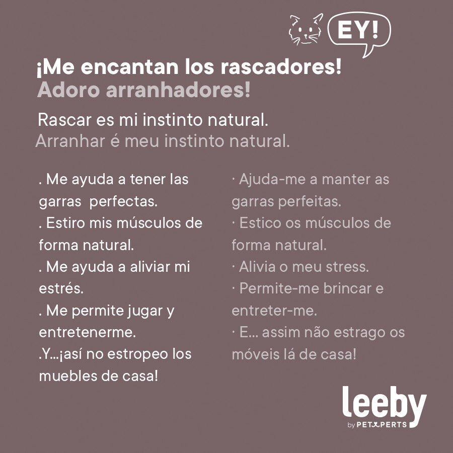 Leeby Miaou t&aacute;bua arranhadora de cart&atilde;o para gatos, , large Imagem n&uacute;mero 9