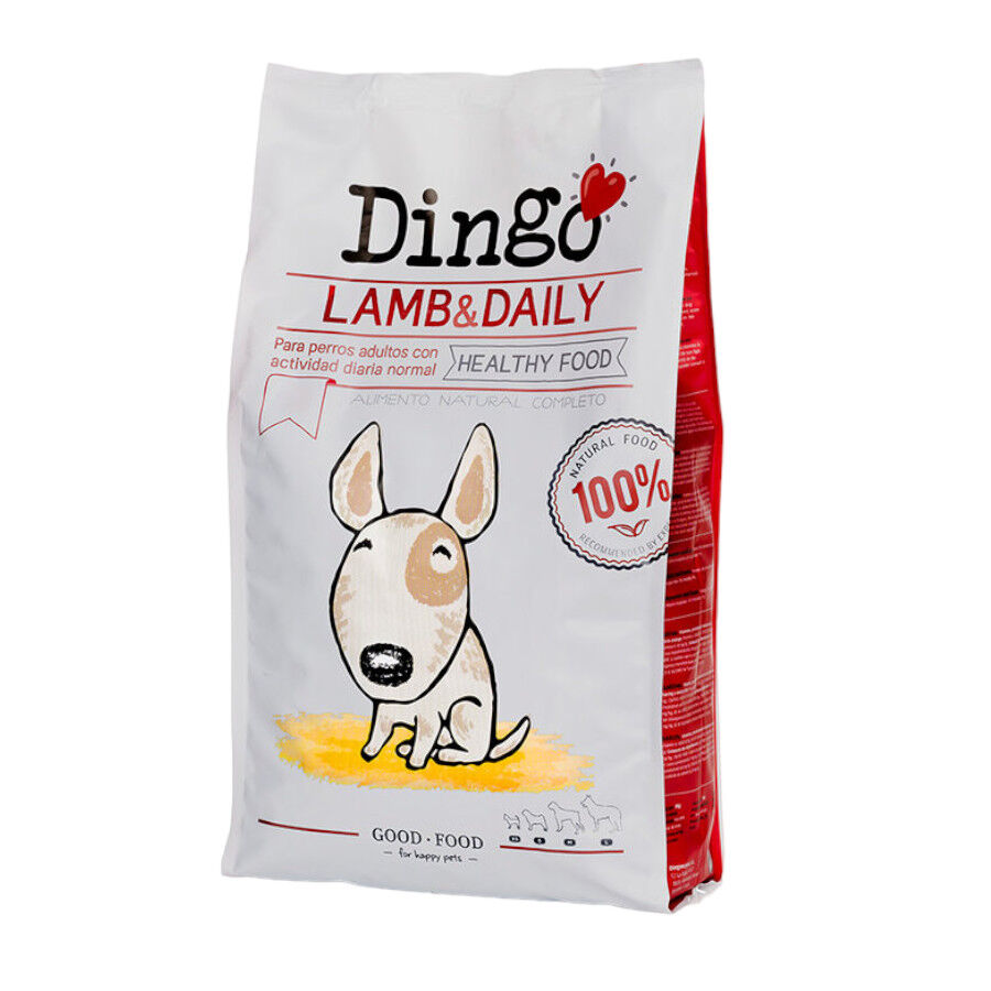 Dingo Adult Borrego, , large Imagem n&uacute;mero 1