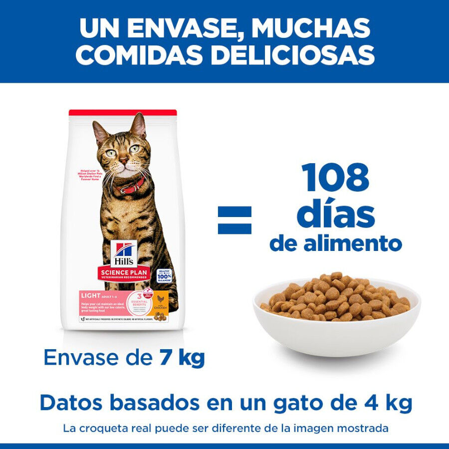 10 kg Hill's Adult Science Plan Frango ra&ccedil;&atilde;o para gatos, , large Imagem n&uacute;mero 6