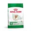 3.5 kg Royal Canin Mini 12+ Ageing ração para cães, , large Indicador imagem número 1