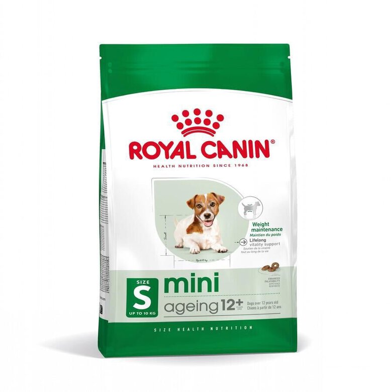 3.5 kg Royal Canin Mini 12+ Ageing ração para cães,  Imagem número 1 3.5 kg Royal Canin Mini 12+ Ageing ração para cães, , large Imagem número 1