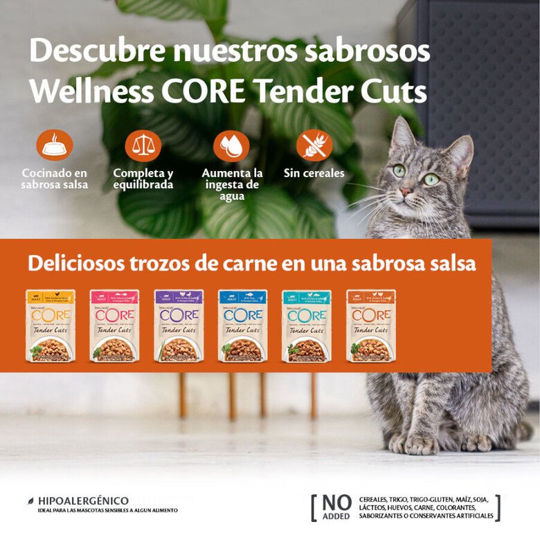 85 g Wellness Core Tender Cuts frango e salmão saquetas para gatos,  Imagem número 3  85 g Wellness Core Tender Cuts frango e salmão saquetas para gatos, , large Imagem número 3