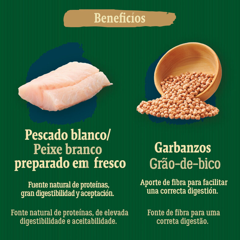 True Origins Wild Golden Coast ração de peixe branco para cães,  Imagem número 5 True Origins Wild Golden Coast ração de peixe branco para cães, , large Imagem número 5