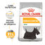 Royal Canin Dermacomfort Mini ração para cães, , large Indicador imagem número 2