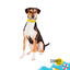 Summer Vibes Bandana refrescante para c&atilde;es, , large Indicador imagem n&uacute;mero 2
