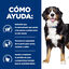 4 kg Hill's Prescription Diet J/D Metabolic + Mobility Frango ra&ccedil;&atilde;o para c&atilde;es, , large Indicador imagem n&uacute;mero 3