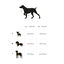 Dukier Peitoral com estampado de Terraço para cães, , large Indicador imagem número 3