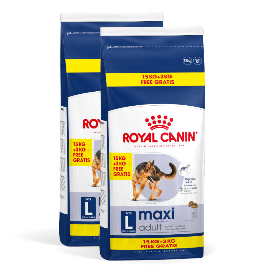 2 x 18 kg (15 + 3 kg gr&aacute;tis!) Royal Canin Maxi Adult ra&ccedil;&atilde;o para c&atilde;es Pack poupan&ccedil;a!, , large Imagem n&uacute;mero 1