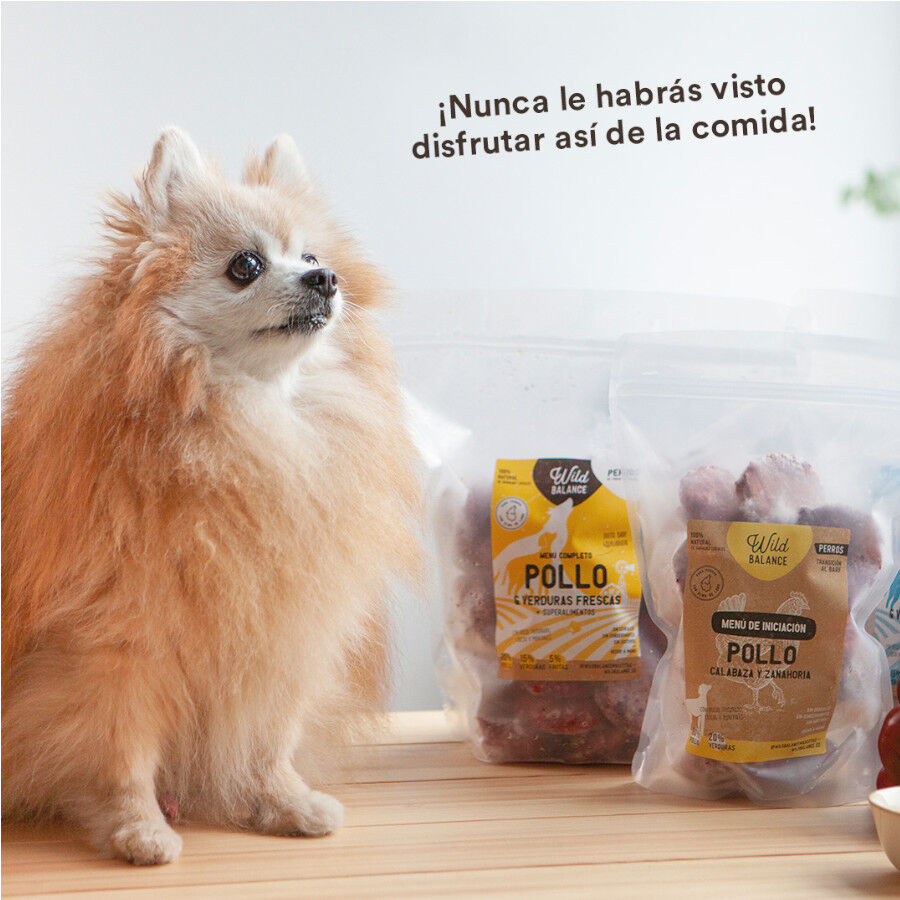 1 kg Wild Balance BARF Pack de Inicia&ccedil;&atilde;o para c&atilde;es alimenta&ccedil;&atilde;o natural congelada, , large Imagem n&uacute;mero 7