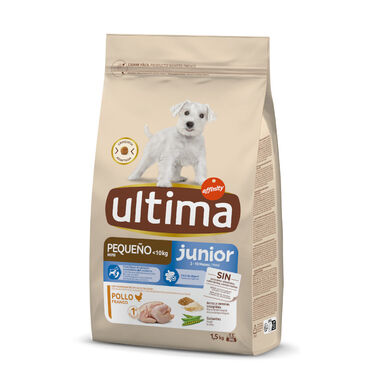 Affinity Ultima Mini Junior
